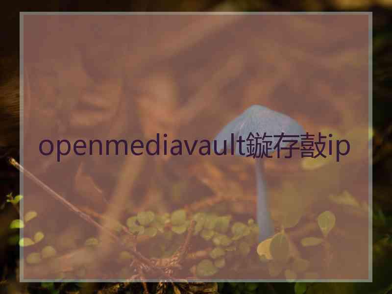 openmediavault鏇存敼ip