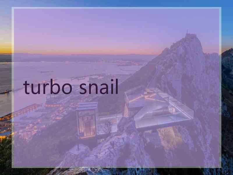 turbo snail
