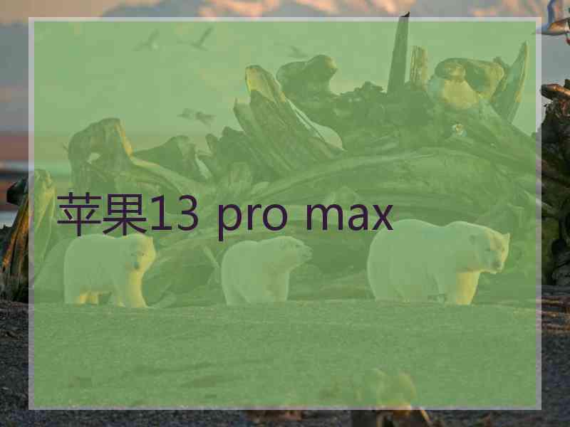 苹果13 pro max