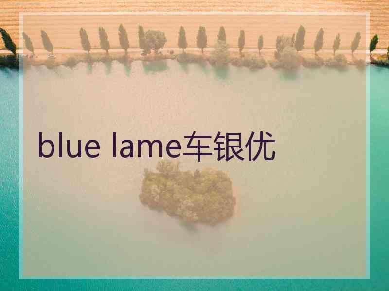 blue lame车银优