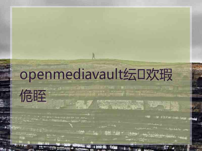 openmediavault纭欢瑕佹眰