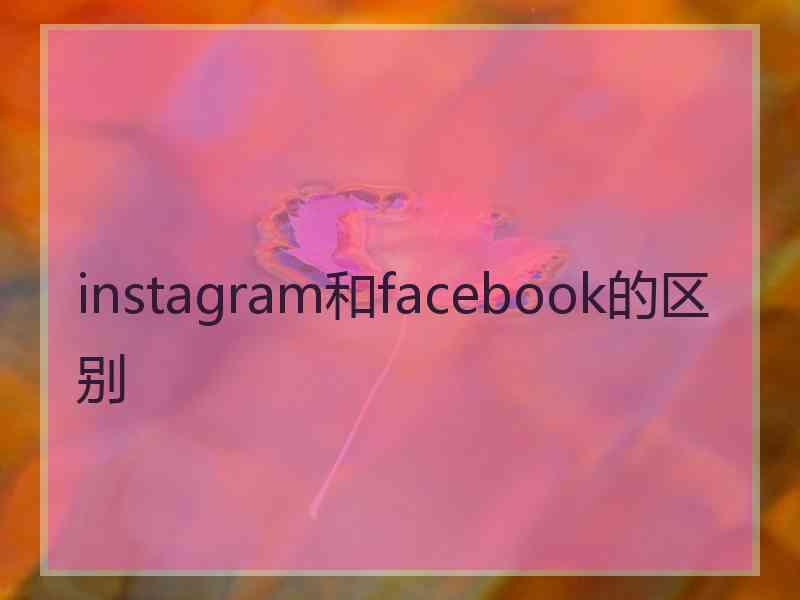 instagram和facebook的区别