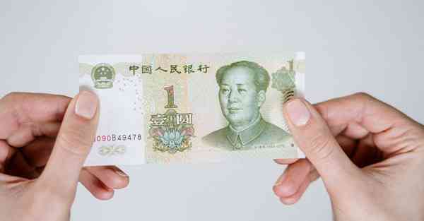 怎么翻译图片上的英文免费