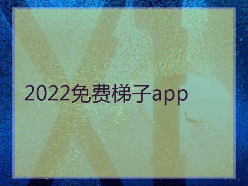 2022免费梯子app